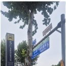 과천써밋  공인중개사사무소 이미지