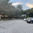 둥지별곡 이미지