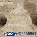 탄현초등학교 이미지