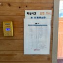 숲속의둥지 | [함양] 대봉캠핑랜드 숲속의집불로초둥지1호 &amp; E14 사이트 예약 후기 (2026.3.28~2026.3.29)