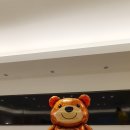 화성새로이소아치과치과의원 이미지