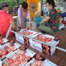 갈평농장 이미지