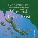<물고기는 존재하지 않는다> 후기-룰루 밀러