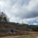 기계한우농장 이미지