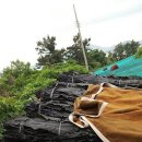 완도화목식품 이미지