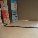 트레지오 이미지