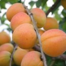 카페친구 이미지