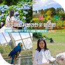 언젠家(가) | 제주 애월 가볼만한곳 5월 제주도 여행코스