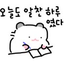뜨리솔 네이버블로그