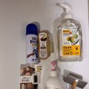 동일하얀세탁소 | 어그부츠 세탁 맡길까 했는데… 집에서 해봤더니 충격