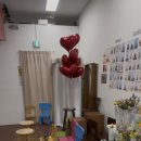 데일리로그감성사진관 | [광교] 강아지랑 인생샷 남기기 성공! 다비스튜디오 셀프사진관 수원광교점 내돈내산 후기