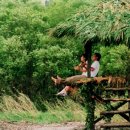 우전초등학교 이미지