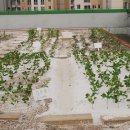 은빛초등학교 이미지