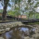 치유의 숲 이미지