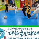 용인대석사 대하 태권도 이미지