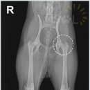 365의료기 이미지