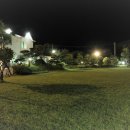 담양클로버 이미지