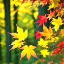 서정농장 이미지