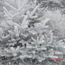 세석산장