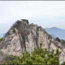 2018년 11월 25일 100대명산 국립공원 계룡산 산행 이미지