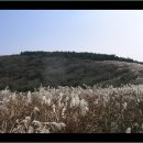 상은목장 이미지