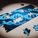 성격심리학 이미지