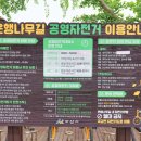 은행나무길 대여소 이미지