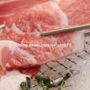 본 참치 이미지