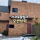 요망진브릭 | 서귀포 풀빌라 오션브릭풀빌라 산방산 숙소 대만족 후기