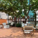 모리셔스 브라운 이미지