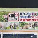 엽이네미나리 | 포항 연일 미나리삼겹살 맛집 엽이네미나리 1년만에 재방문!