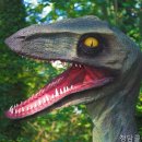 클린치과의원 네이버블로그