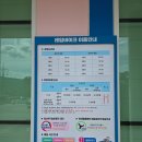 궁촌레일바이크펜션 | 삼척 해양 레일바이크 용화역 출발후기, 용화역 궁촌역 가격, 예약방법
