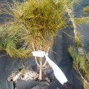 수형농장 이미지