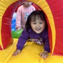 경희 로운 태권도장 이미지