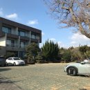 수망리 | [서귀포] 보목포 오션뷰 베이커리 소금빵 맛집 '게우지코지 카페' 후기