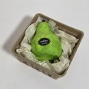 라이프프루티 | 집들이 선물 추천 감성 오브제 디퓨저 프루티펄피 후기 🍎🍐