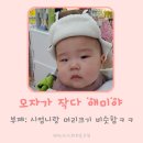 롯데마트디어베이비 네이버블로그
