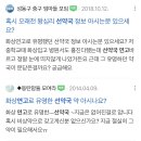 선약국 Daum카페