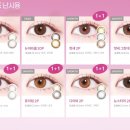 뉴비젼콘택트 이미지