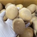 포근포근 강원도 두백감자 특품으로 보내드려요 이미지