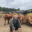 한우사육농장 이미지