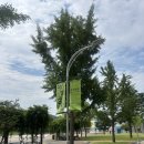 산호휴게매점 | 국립 과천과학관 주차 여름방학 무료 개관 정보