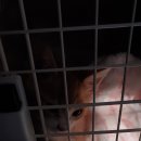 학익동물병원 이미지