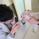 한마음동물병원 네이버블로그