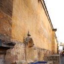 오렌지정원 이미지