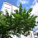 이너스호텔 이미지