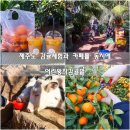 서귀포감귤정원이예쁜집 | 제주도 감귤체험 서귀포 카페 어린왕자감귤밭 제주 귤따기 체험