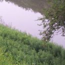 둥굴레펜션 이미지