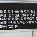로이맘도라지가게분당